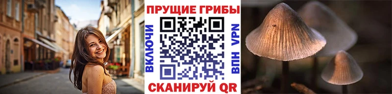 Галлюциногенные грибы прущие грибы  hydra зеркало  Шатура 